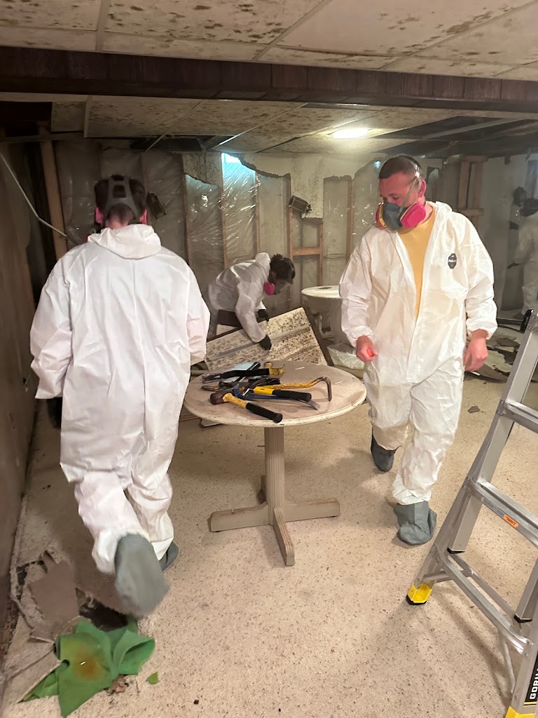 How to Deal with Basement Mold: The Essential Guide