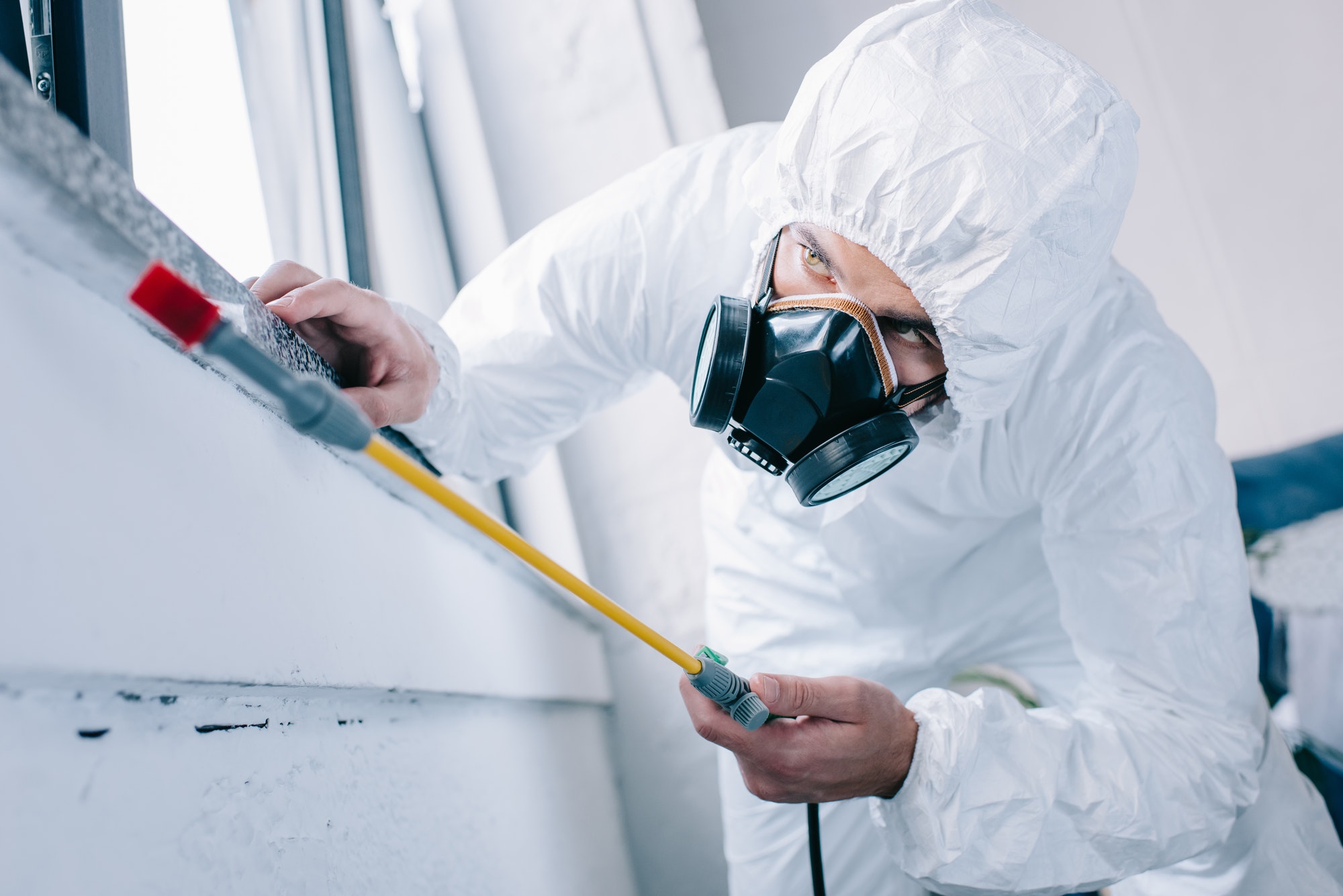 Mold Remediation Professional