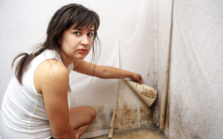 Black Mold Health Symptoms and Exposure Concerns