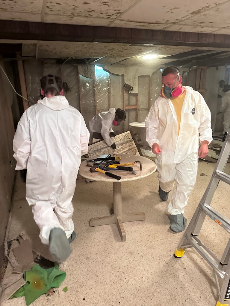 Basement mold remediation